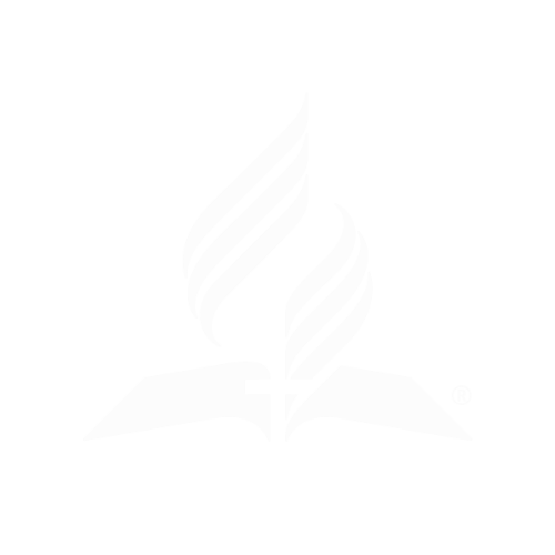 light logo