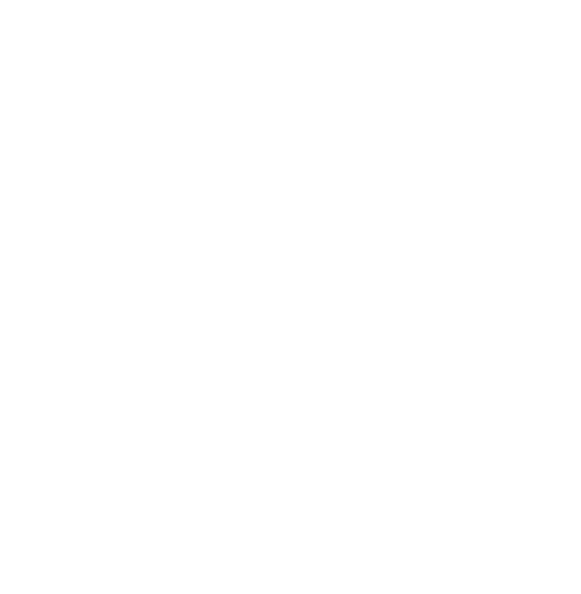 light logo